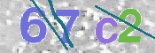 CAPTCHA (Şahıs Denetim Kodu) Resmi