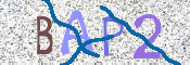 CAPTCHA (Şahıs Denetim Kodu) Resmi