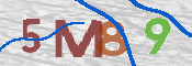CAPTCHA (Şahıs Denetim Kodu) Resmi
