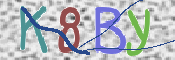 CAPTCHA (Şahıs Denetim Kodu) Resmi