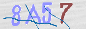 CAPTCHA (Şahıs Denetim Kodu) Resmi