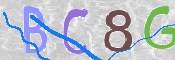 CAPTCHA (Şahıs Denetim Kodu) Resmi
