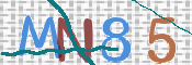 CAPTCHA (Şahıs Denetim Kodu) Resmi