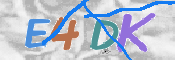 CAPTCHA (Şahıs Denetim Kodu) Resmi